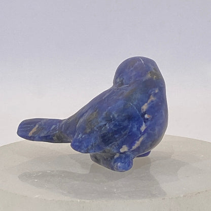 Sodalite Bird