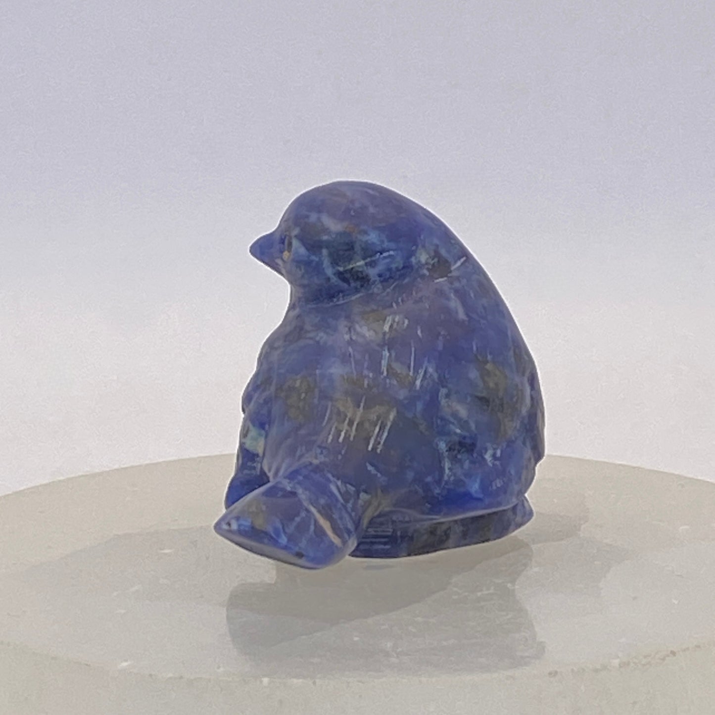 Sodalite Bird