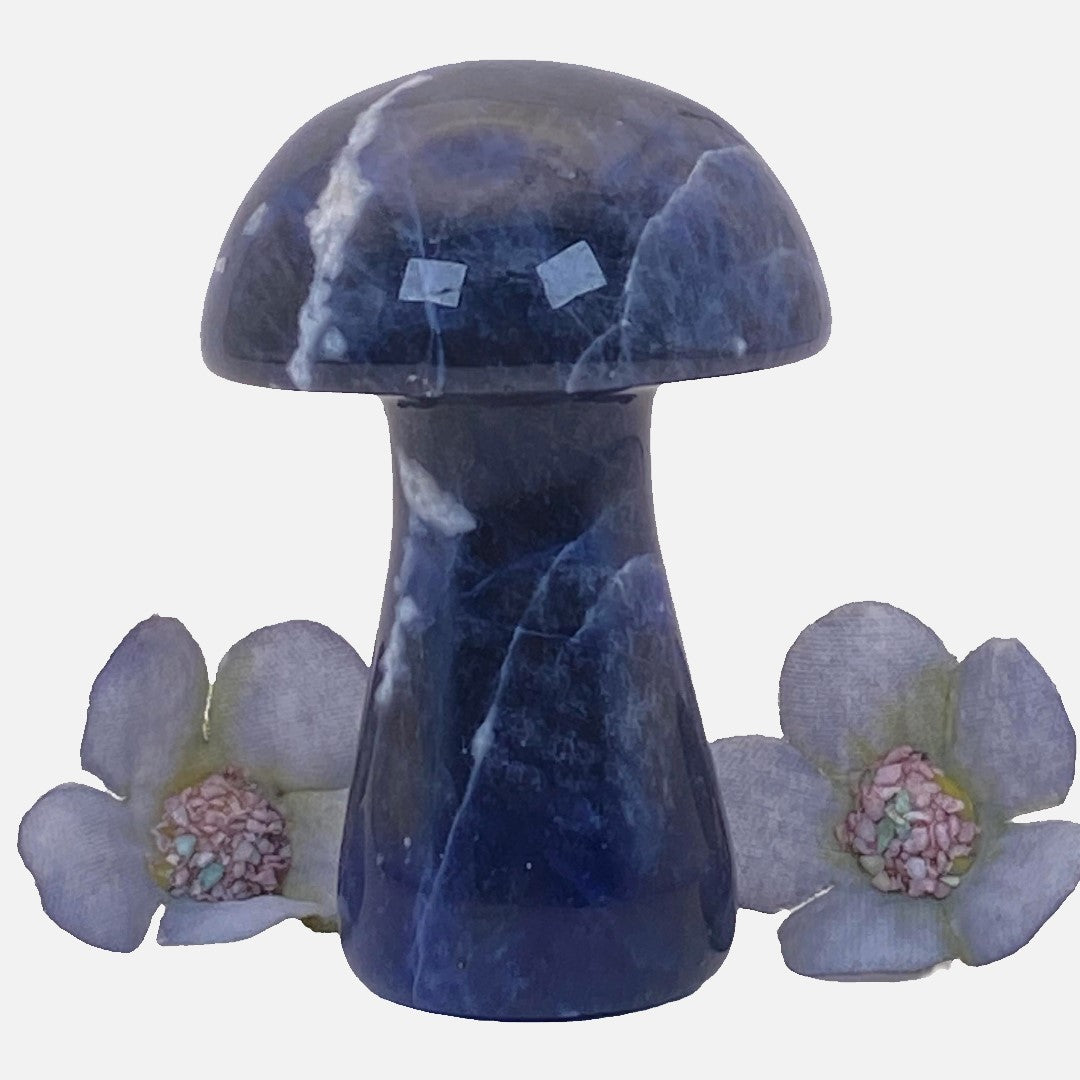 Sodalite Mushroom #1