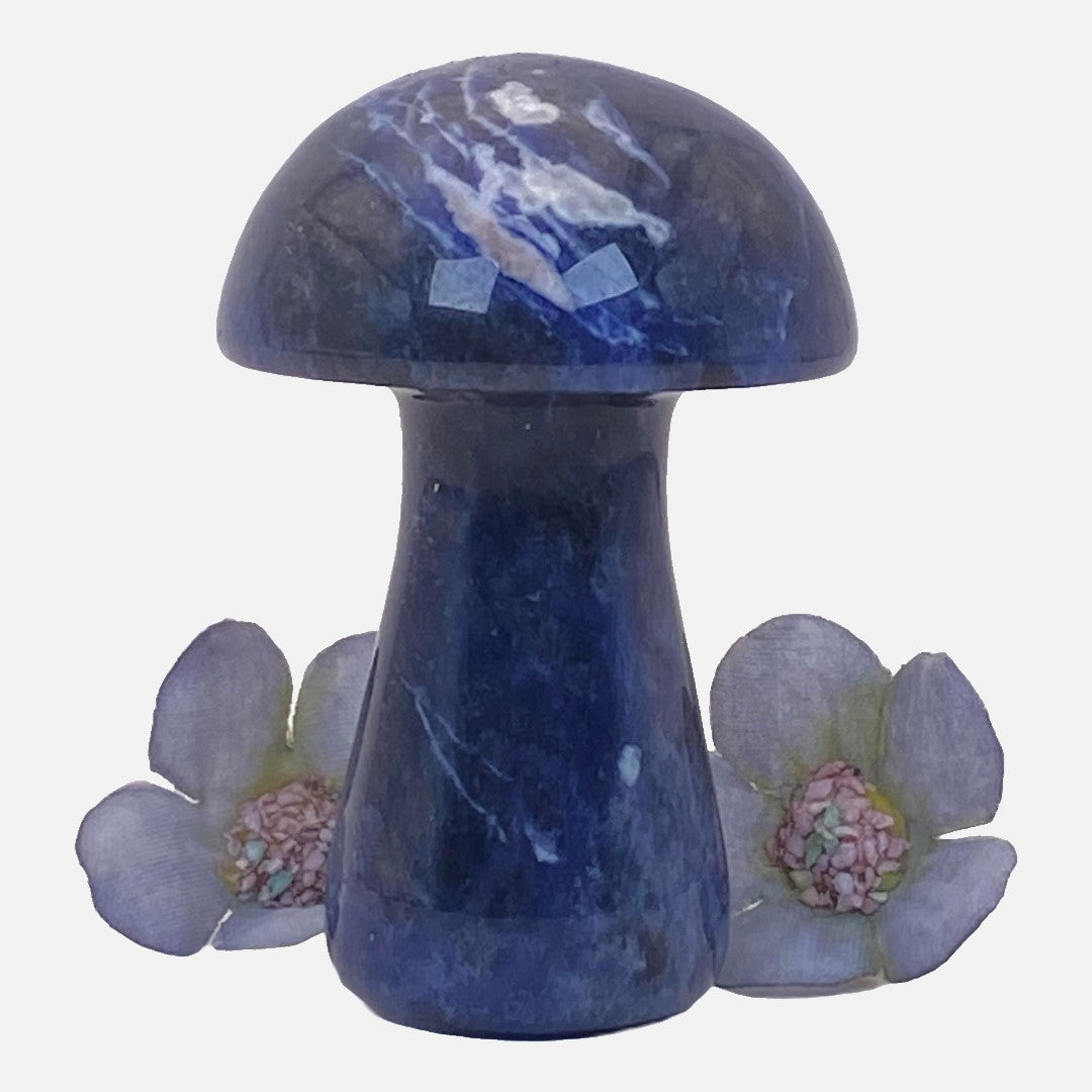 Sodalite Mushroom #2