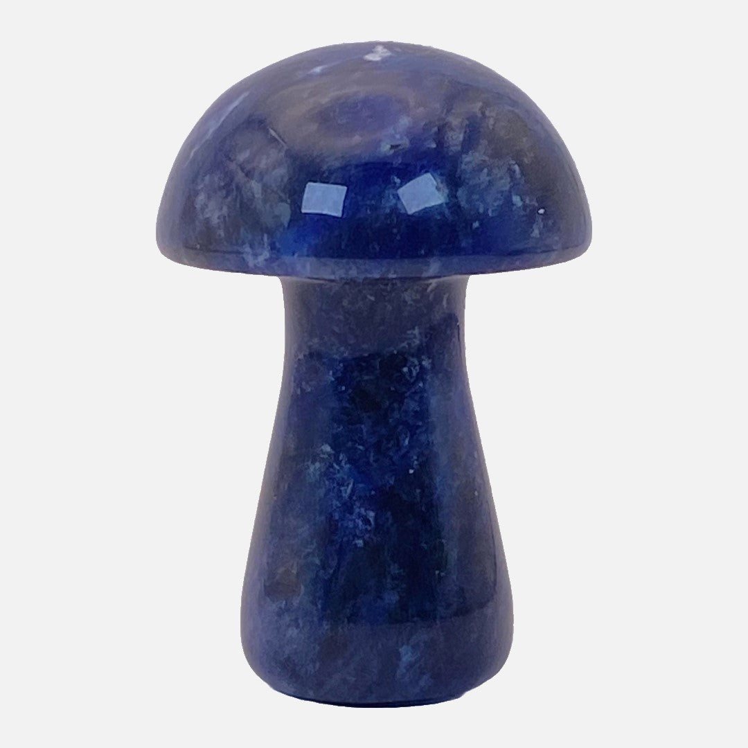 Sodalite Mushroom #2