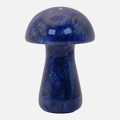 Sodalite Mushroom #2