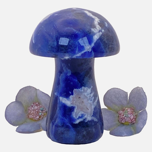 Sodalite Mushroom #3