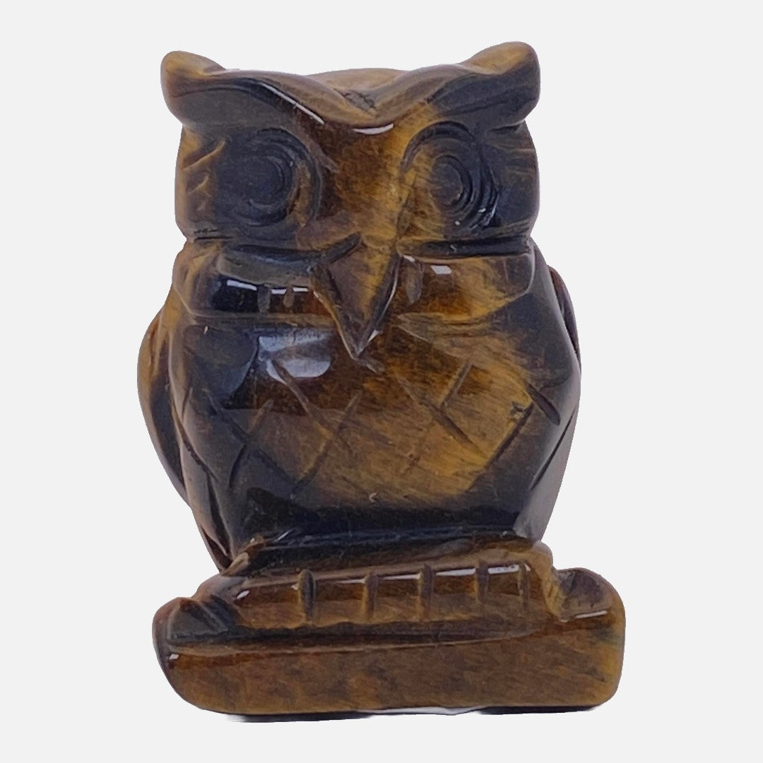 Tiger's Eye Owl #2