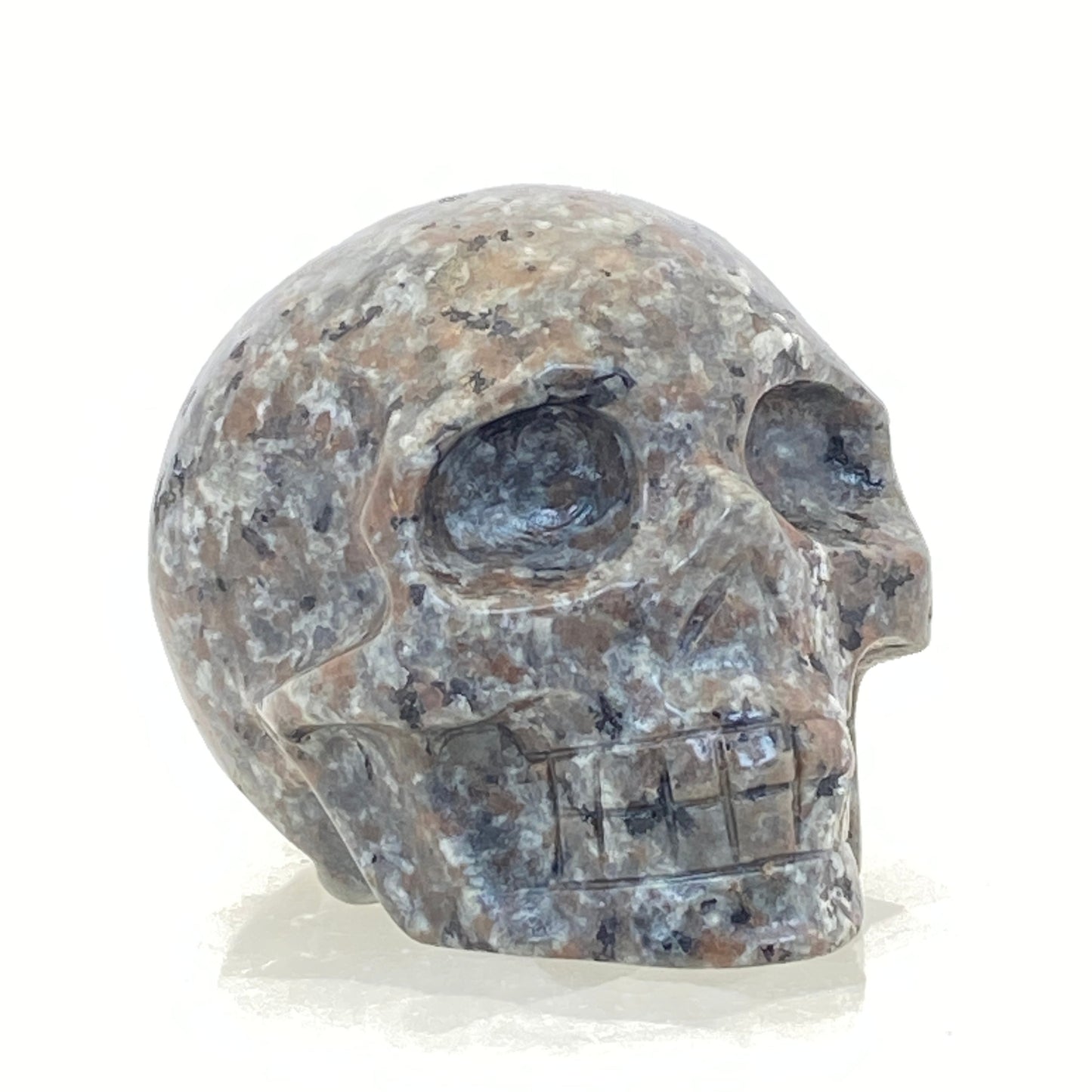 Yooperlite Skull