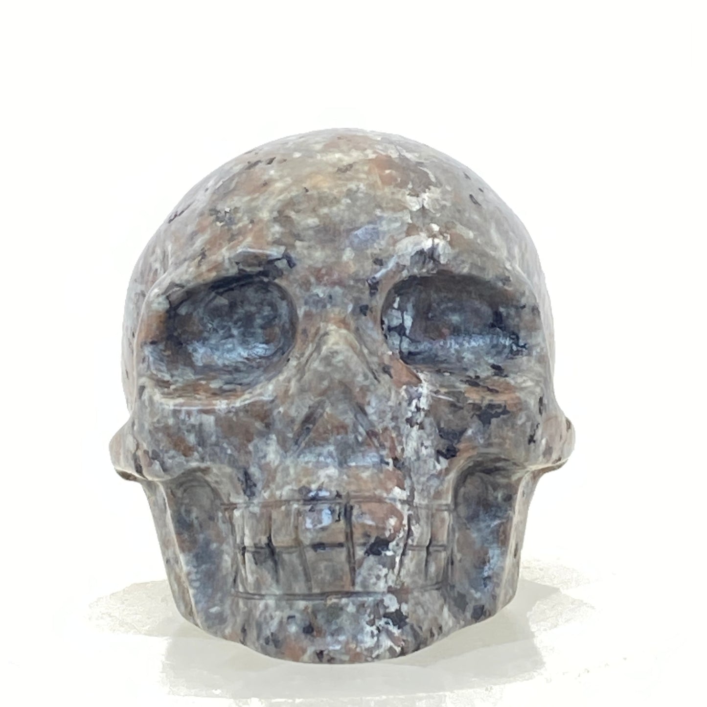 Yooperlite Skull