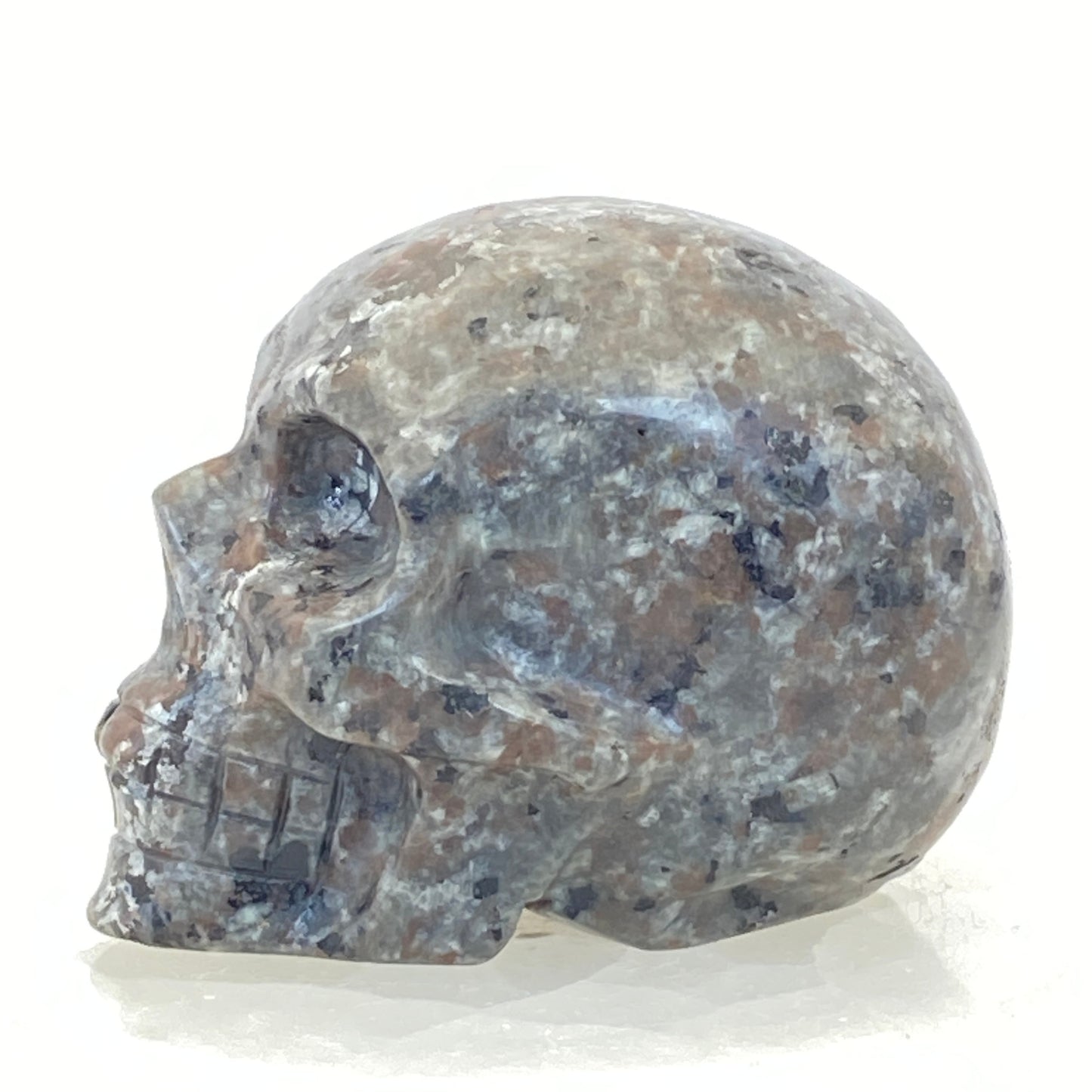 Yooperlite Skull