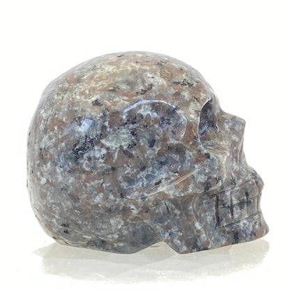 Yooperlite Skull