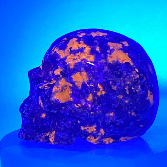 Yooperlite Skull