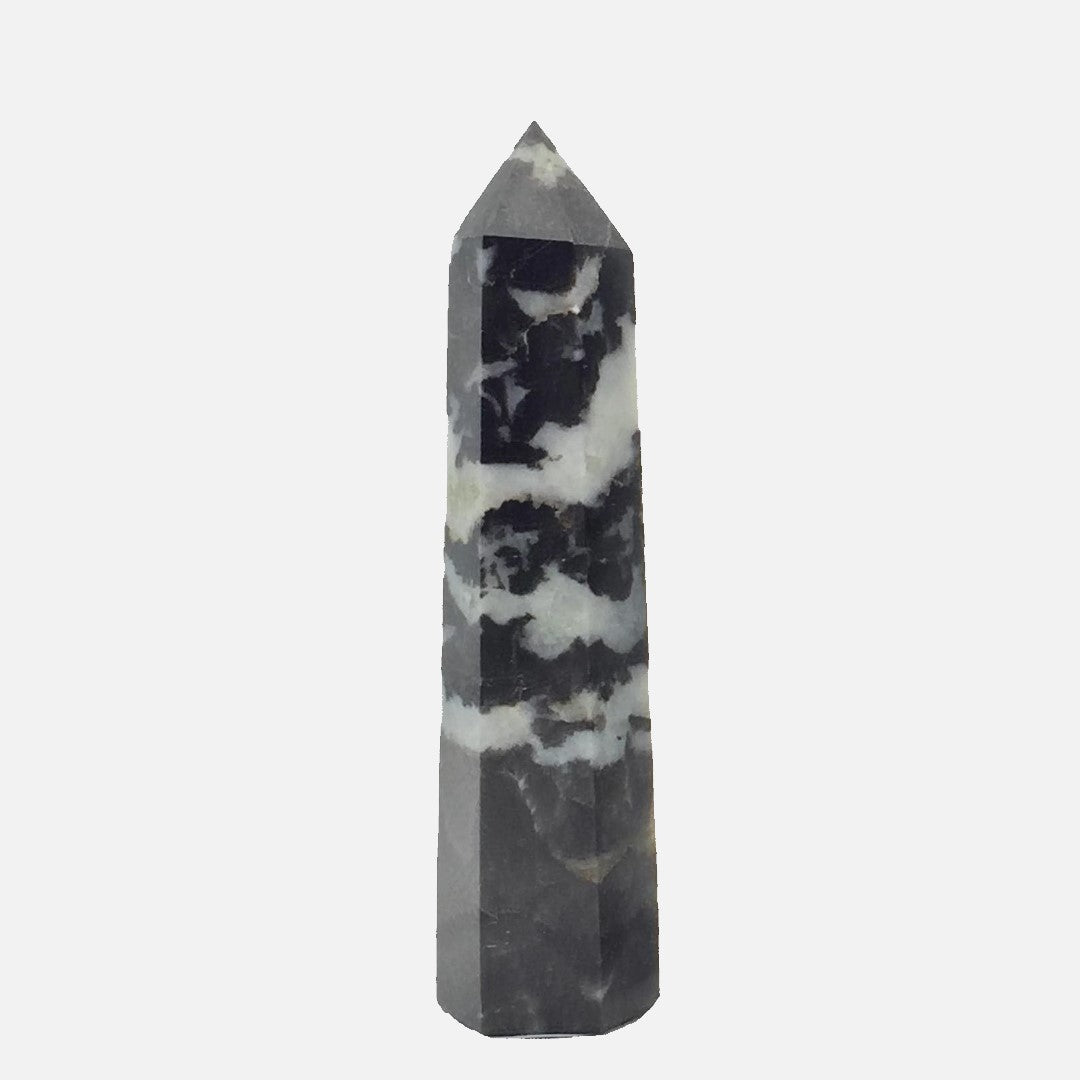 Zebra Jasper Point #1