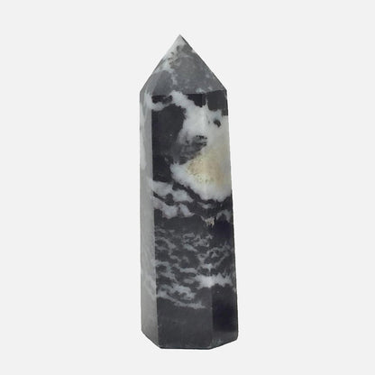 Zebra Jasper Point #3